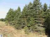 4 Spruce Hollow Trace - Photo 11