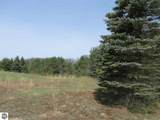 4 Spruce Hollow Trace - Photo 12