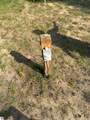 9591 Tower Road - Photo 2