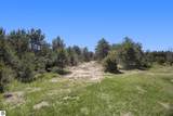 11249 Frankie Lane - Photo 56
