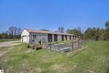 11249 Frankie Lane - Photo 64