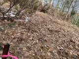Lot 31 Scenic Hills Drive - Photo 3