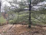 Lot 31 Scenic Hills Drive - Photo 6