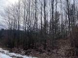 Lot 31 Scenic Hills Drive - Photo 9