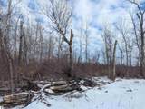 N/A Swenson Road - Photo 5