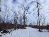N/A Swenson Road - Photo 6