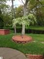 4507 Gowen Road - Photo 7