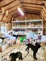 5348 Bagley Road - Photo 11