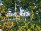 Lot 2 Torch Hills Lane - Photo 2