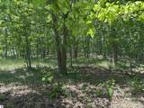 1033 Bonanza Lane - Photo 6