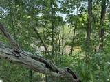 1035 Bonanza Lane - Photo 7