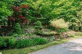 9639 Walkabout Lane - Photo 40