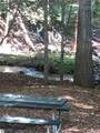 6493 Deer Path - Photo 3