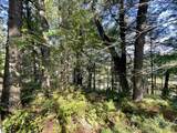 2492 Fir Road - Photo 35
