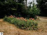 11184 Mill Street - Photo 16