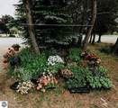 11184 Mill Street - Photo 18