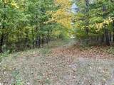 0 Alvinas Trail - Photo 12