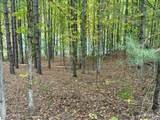 0 Alvinas Trail - Photo 13