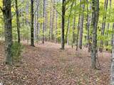 0 Alvinas Trail - Photo 6
