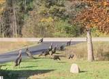 254 Us-31 N - Photo 26