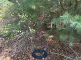D Glen Lake Road - Photo 22