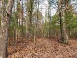 VL Hall Creek Road - Photo 2
