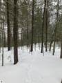 VL Wilderness Circle - Photo 5