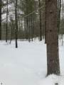 VL Wilderness Circle - Photo 6
