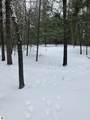 VL Wilderness Circle - Photo 7