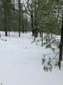 VL Wilderness Circle - Photo 8