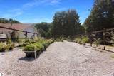 8986 Alden Meadows - Photo 52