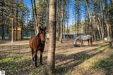 134 Menominee Trail - Photo 1