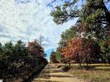 2498 Five Mile Road - Photo 36