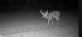 2498 Five Mile Road - Photo 8