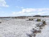 4.66 Acres M 72 - Photo 8