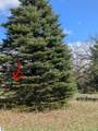 1003 Kent Street - Photo 1