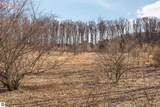 11936 Blossom Lane - Photo 4