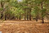 #3 Old Cabin Drive - Photo 5