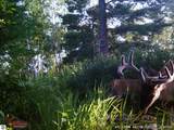 4145 Shearer Road - Photo 32