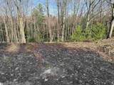 Parcel D Carmean Road - Photo 11