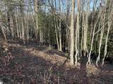 Parcel D Carmean Road - Photo 8