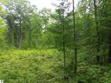 00 Shady Lane - Photo 16