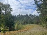  Maple City Highway - Photo 13