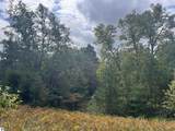  Maple City Highway - Photo 15