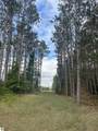 Maple City Highway - Photo 17