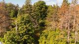  Maple City Highway - Photo 8