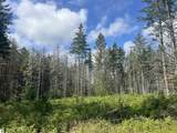  Maple City Highway - Photo 2