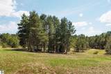 16829 Pettengill Road - Photo 87
