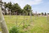 176 Vineyard Ridge Drive - Photo 71