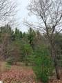 02 Woodland Trail - Photo 11